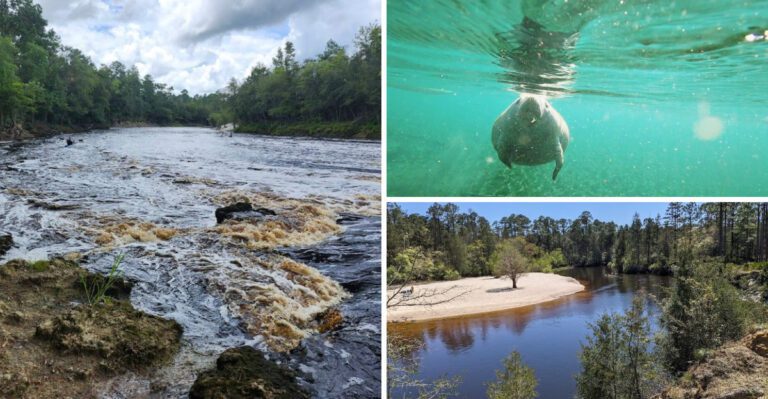 10 Florida places where you can enjoy nature without fighting huge crowds