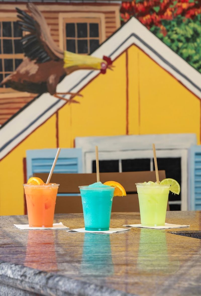 Chicken Walk - Key West, Florida