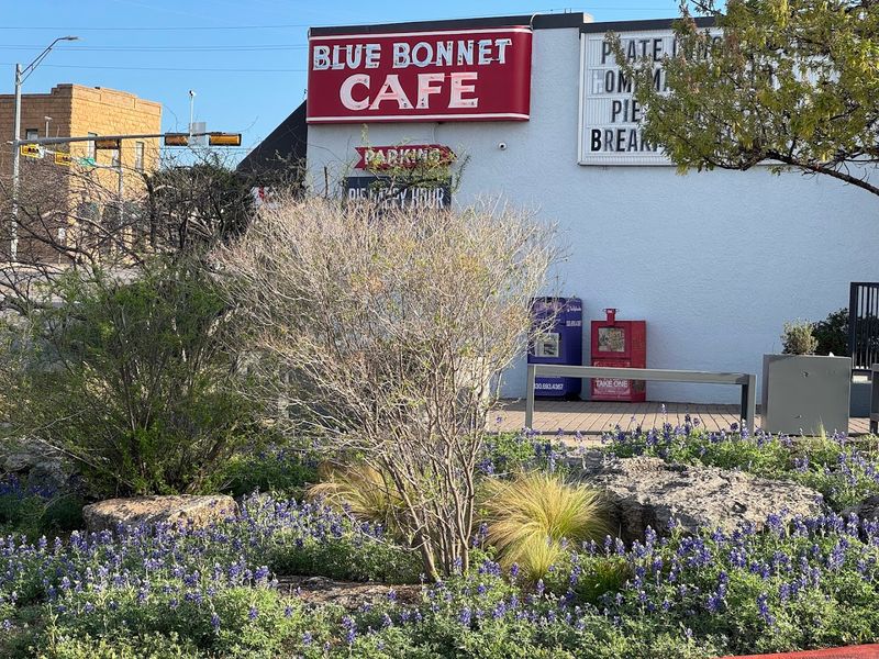 11 Texas Small-Town Cafes Where The Pie Case Does All The Talking 2 Blue Bonnet Cafe - Marble Falls, Texas
