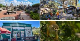 11 Wonderfully Weird Places in Florida That Feel Almost Unreal