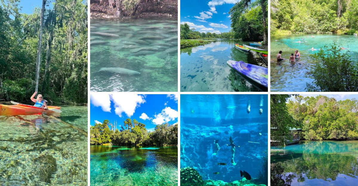 11 florida natural springs that feel too beautiful to be real