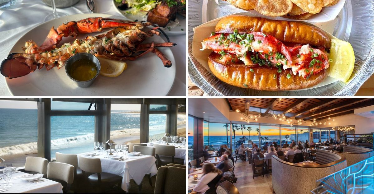12 California Seafood Restaurants Where the Ocean View Earns Every Extra Minute at the Table
