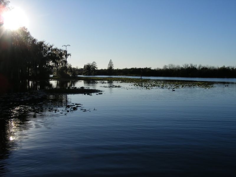 13 Florida Retirement Towns Where Low-Key Living Still Wins 2 Ocala, Florida