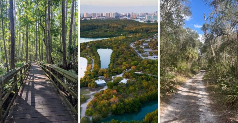 13 Hidden Florida State Parks That Most People Have Forgotten
