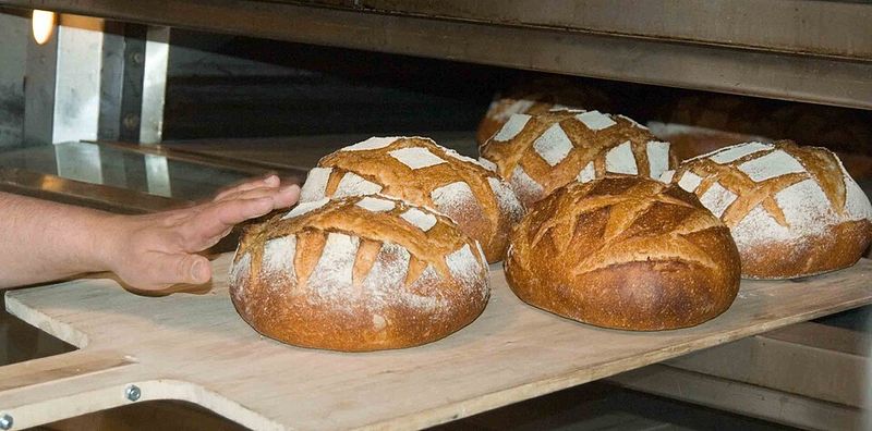 Fresh baked bread