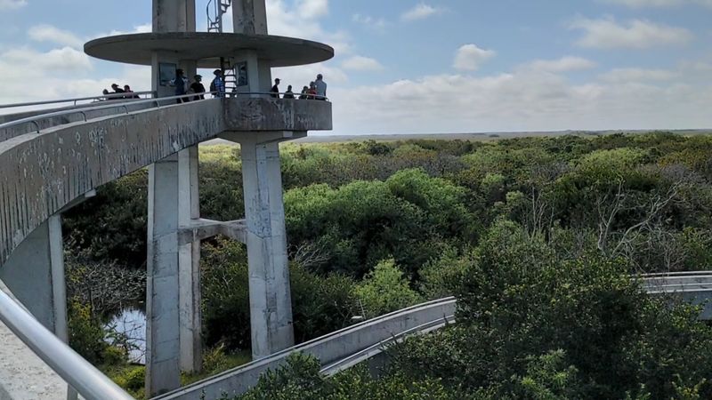 Hike to This Florida Overlook That Resembles a Mini Space Needle 9 Best Time of Day and Year to Visit the Tower