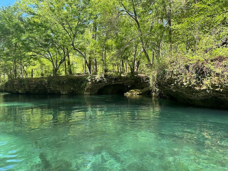 Ichetucknee Springs State Park - Fort White, Florida