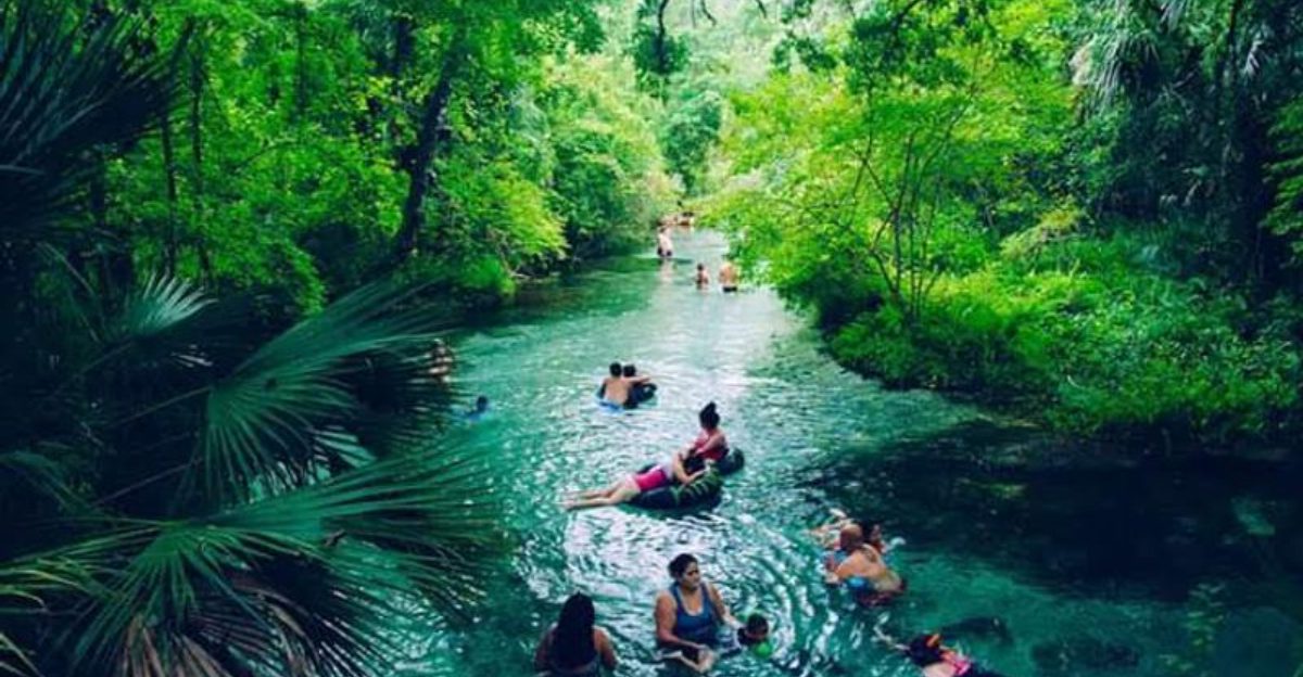 6 Crystal Clear Florida Lazy Rivers Perfect for a Day of Floating
