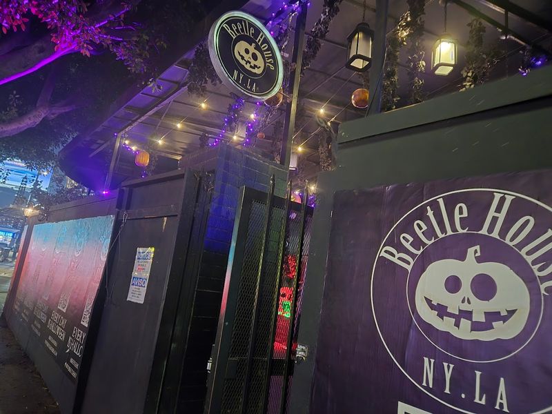 Beetle House LA - Los Angeles, California