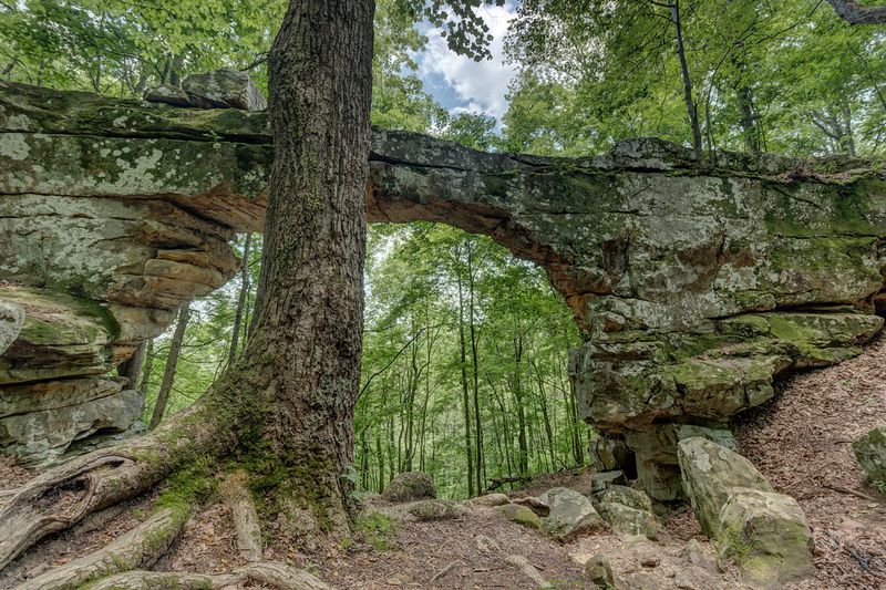 9 Tennessee state parks that deserve more attention than the usual favorites 2 Fiery Gizzard State Park - Monteagle, Tennessee