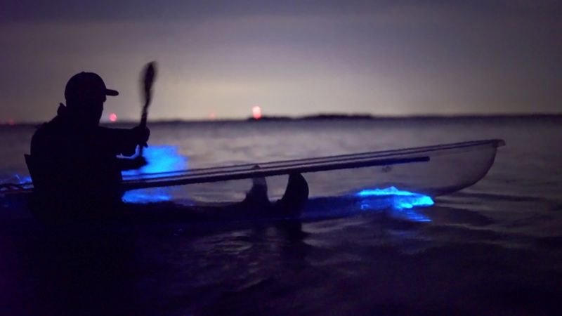 9 Things to Do in Florida After You've Done Everything Else 2 Florida Adventurer: Bioluminescent Kayaking Cocoa Beach - Merritt Island, Florida