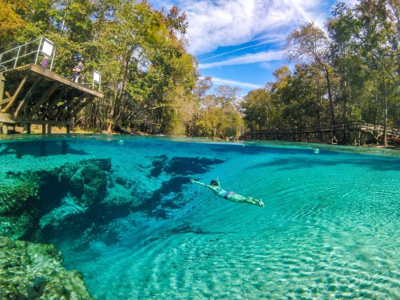 A 1.7-Mile Hike in Florida Leads You to 5 Beautiful Natural Springs 2 Blue Spring