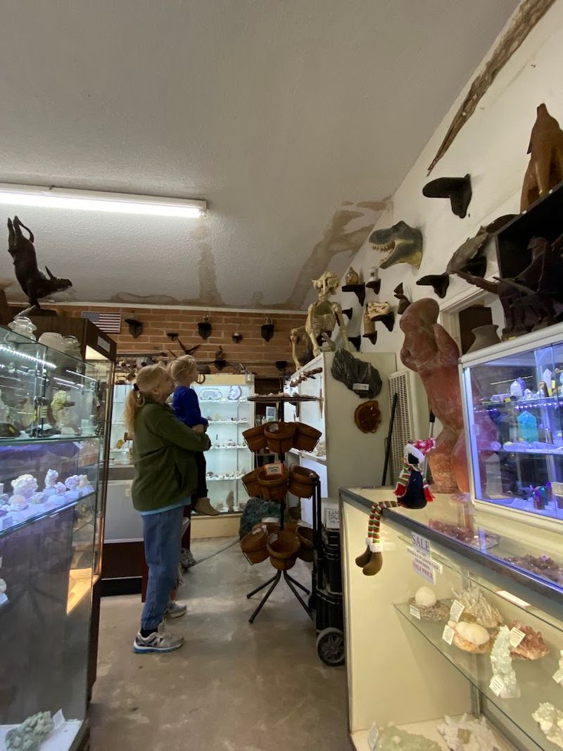 Knowledgeable and Friendly Staff Who Love What They Do