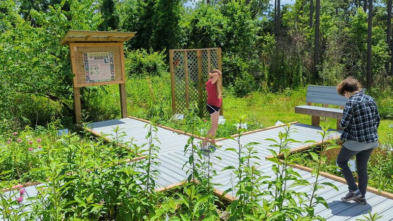 The Butterfly Garden That Brings the Magic