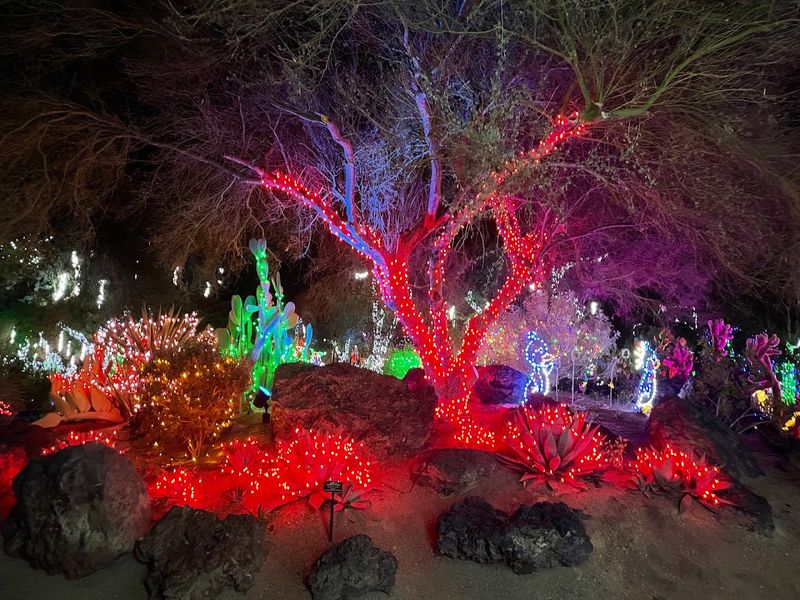 Stunning Christmas Light Displays After Dark