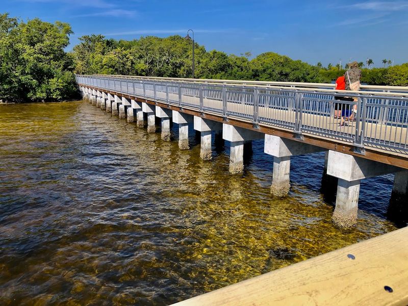 World-Class Fishing Right Off the Bridge