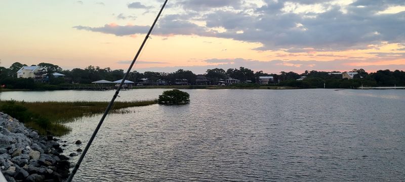 Fishing Culture That Runs Deeper Than Any Tourist Brochure Suggests