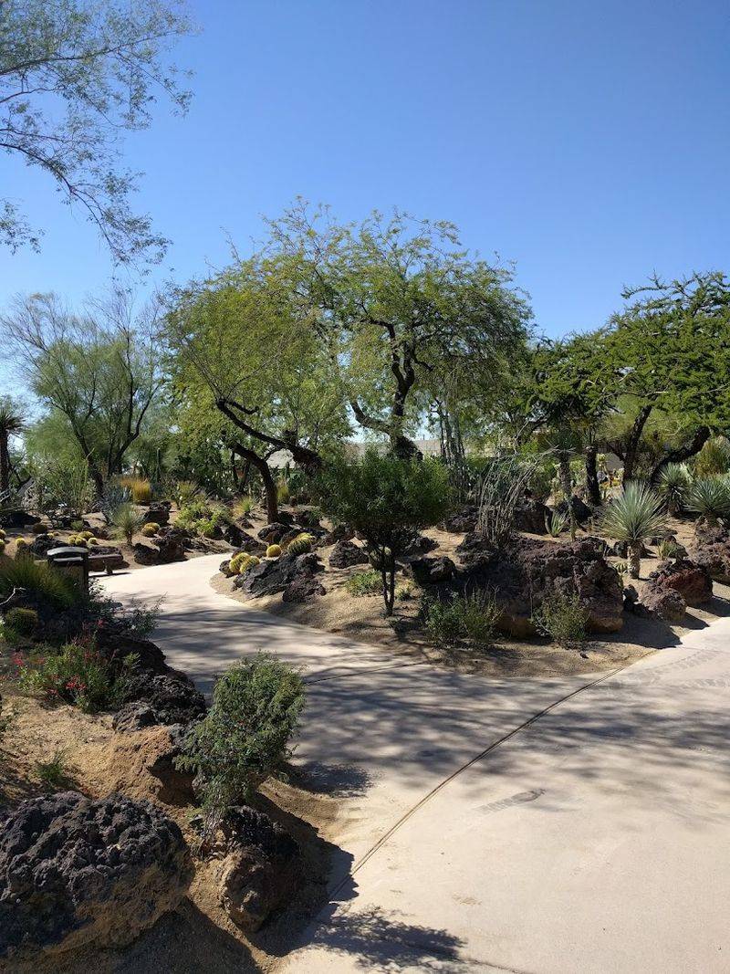 Over 300 Species of Cacti and Succulents