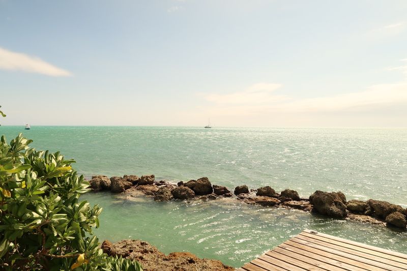 Wildlife Encounters You Cannot Plan — But Will Never Forget