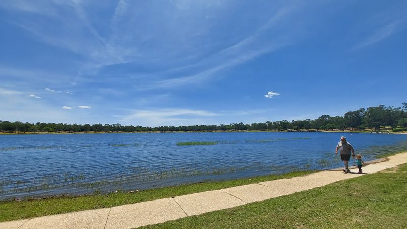 This quiet Florida gem is winning over visitors without trying to be flashy 13 Local Art Scene Quietly Thriving