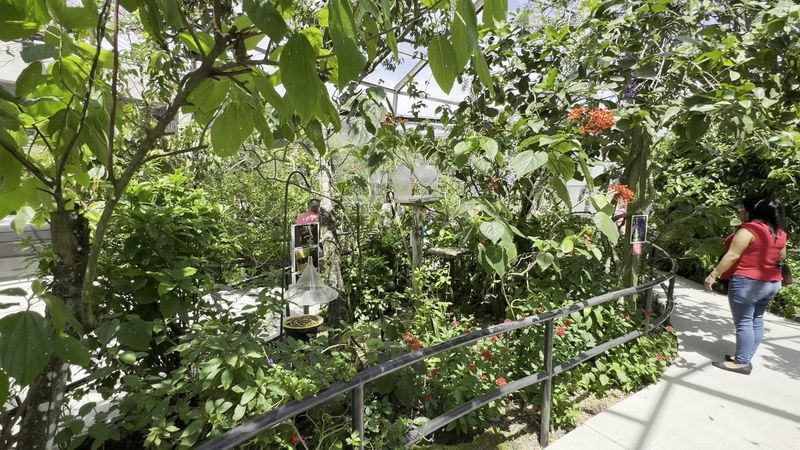 The World's Largest Butterfly Park Is This 10-Acre Conservatory in Florida 10 Family-Friendly Layout With a Playground Bonus