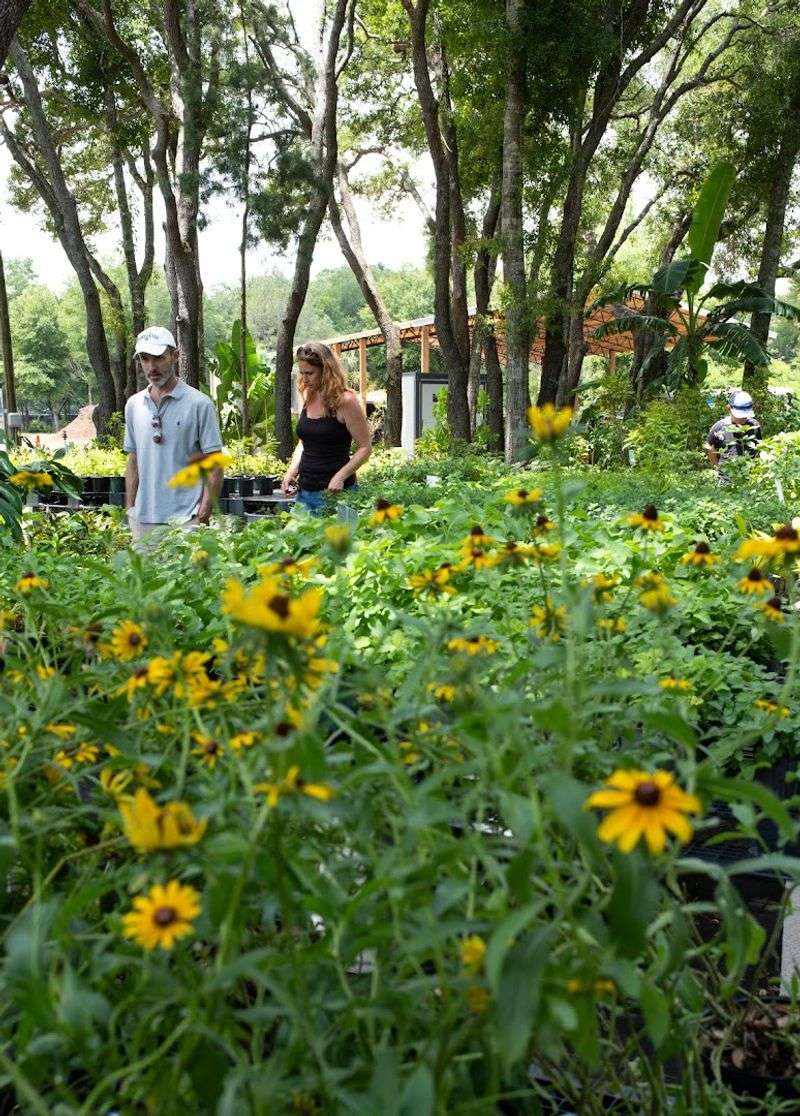This Florida Greenhouse at GreenDreams Nursery in Spring Hill Is Changing How Locals Grow Fruits, Herbs, and Flowers 11 Flowering Plants That Add Serious Color to Your Yard