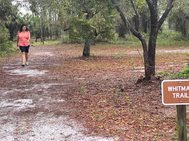 Hurricane Resilience and a Park That Keeps Coming Back