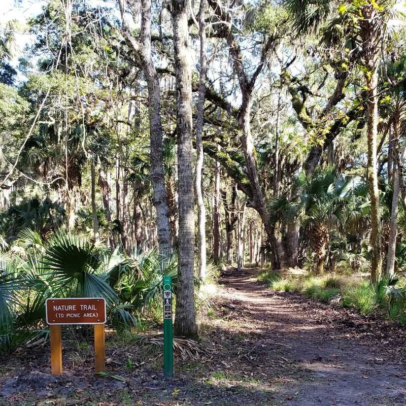 Tabby Slave Cabin Remains Hidden in the Trees