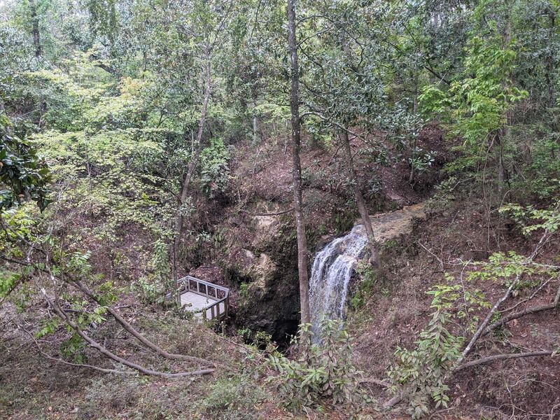 Shaded Picnic Pavilions for a Relaxing Outdoor Lunch