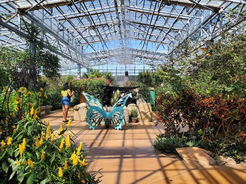 The Record-Breaking Size of the Butterfly Pavilion