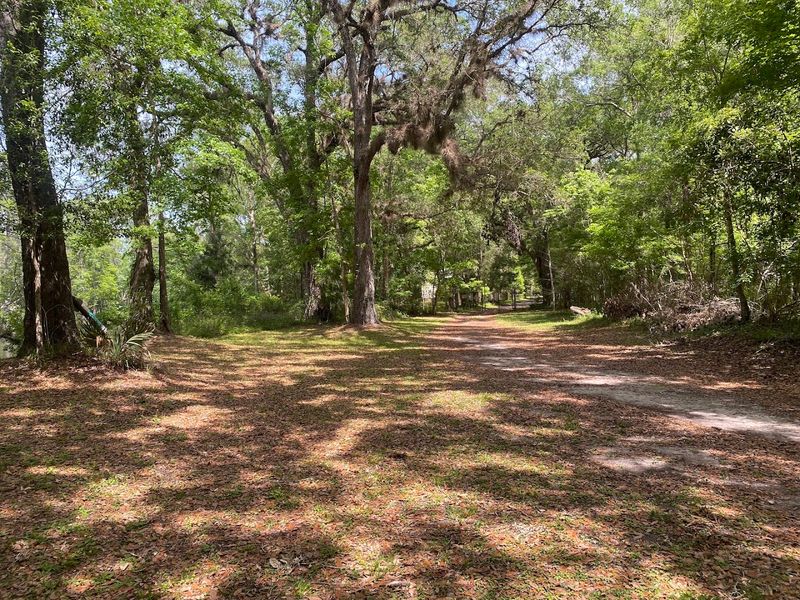 Hiking Trails Through North Florida Wilderness