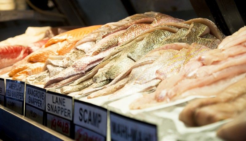This old-school Florida seafood spot is where locals go when they want the freshest catch without the hype 3 Fresh Fish Market Concept Inside the Restaurant