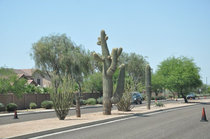 Proximity to Phoenix and Tucson Without the Costs