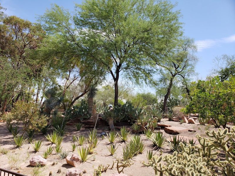 Great for Family Outings and Group Visits