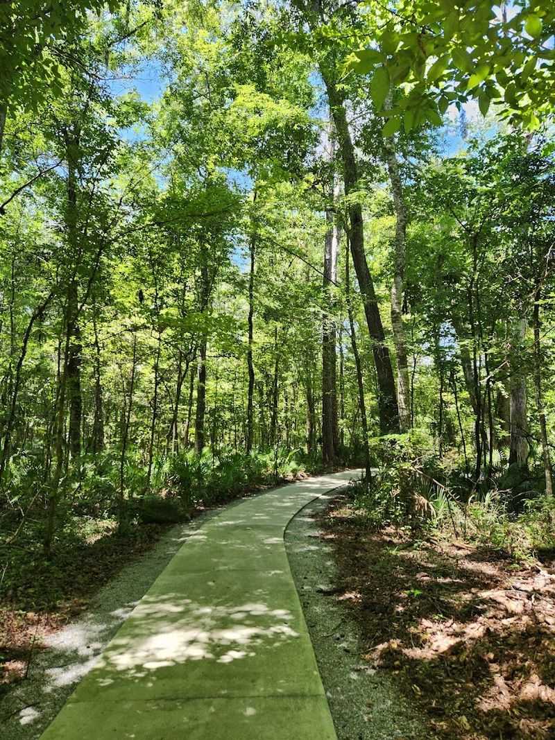 Pet-Friendly Trails: Bring Your Four-Legged Explorer