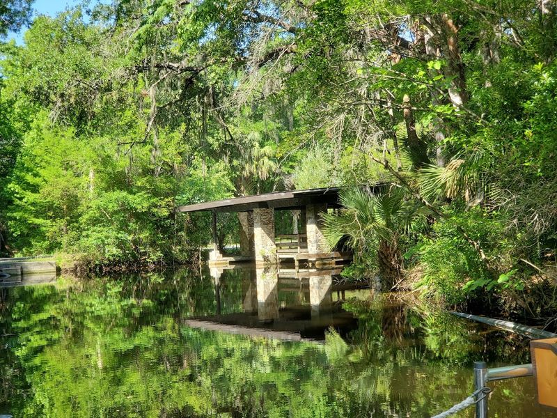 Storm Shelter for Manatees in Need