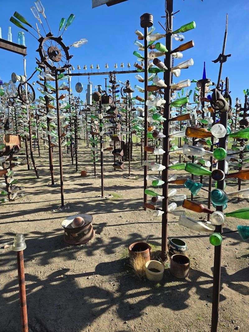 Elmer's Bottle Tree Ranch - Oro Grande, California