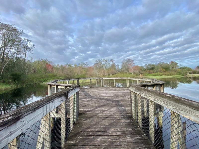 Kirby Storter Roadside Park Boardwalk