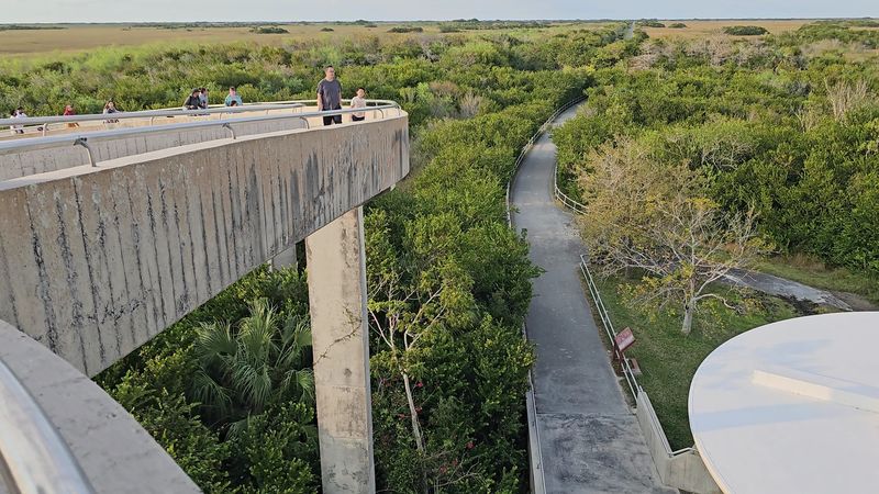 Hike to This Florida Overlook That Resembles a Mini Space Needle 7 Climbing the Tower: What the Spiral Ramp Feels Like
