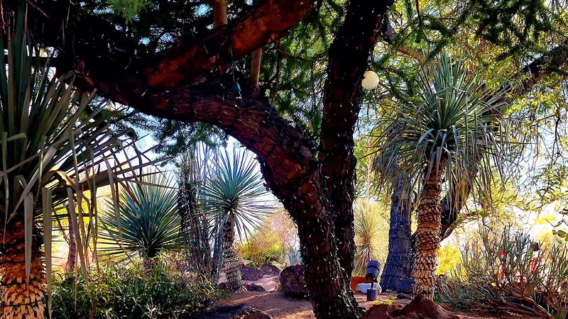 A Tranquil Escape Just Minutes from Las Vegas