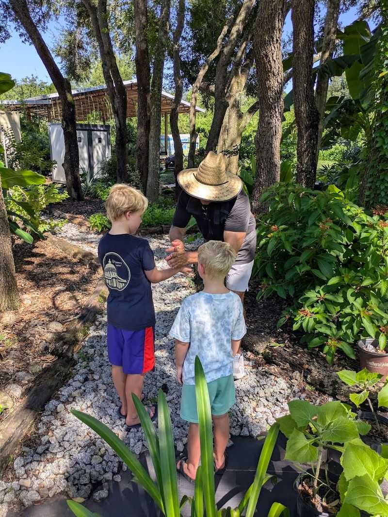 This Florida Greenhouse at GreenDreams Nursery in Spring Hill Is Changing How Locals Grow Fruits, Herbs, and Flowers 3 Miracle Berries That Blow Your Mind