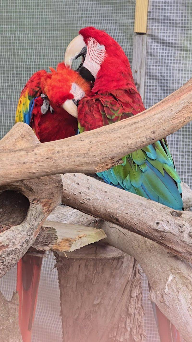 The World's Largest Butterfly Park Is This 10-Acre Conservatory in Florida 6 Gorgeous Birds That Pose for Your Camera