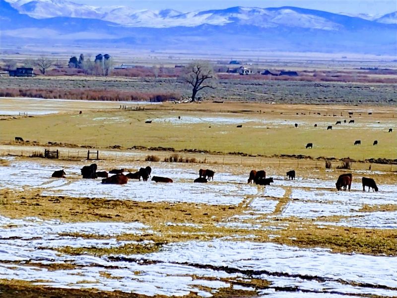 Local Ranches and Farms Give the Area an Authentic Rural Feel