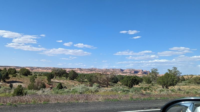 Wildlife Watching Opportunities