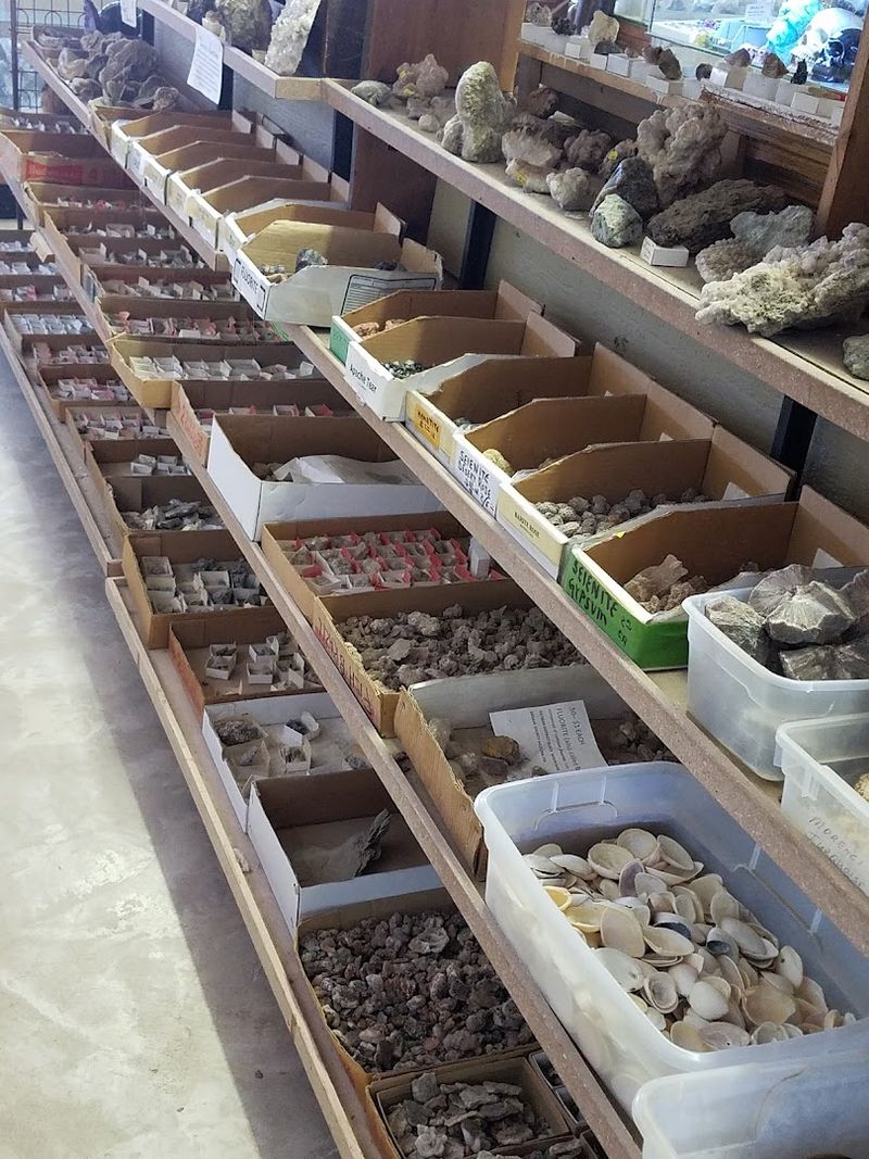 The Mine Dump Experience: Dig for Your Own Treasures