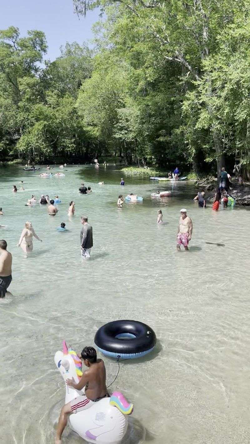 This hidden Florida spring is so clear and beautiful people cannot believe it is still this peaceful 8 Affordable Entry Fee That Makes It Accessible for Everyone