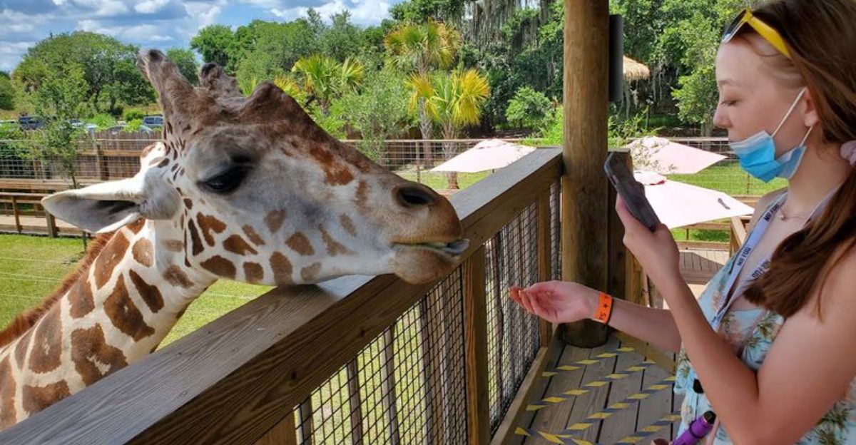 At this Florida wildlife park you can get close enough to feed animals most people only see from a distance