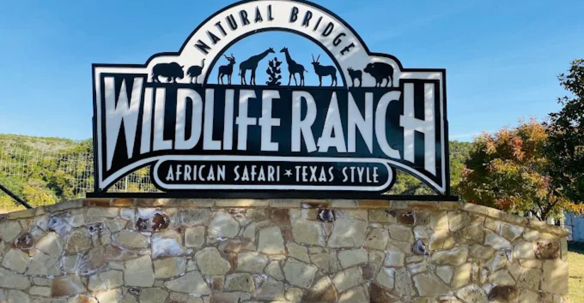 At this Texas wildlife park visitors can get close enough to animals for a day that feels anything but ordinary