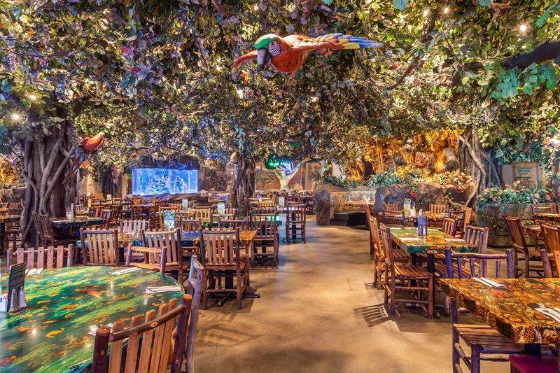 Rainforest Cafe - Galveston, Texas