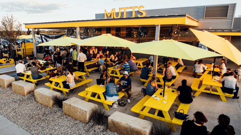 MUTTS Canine Cantina® - Dallas - Dallas, Texas